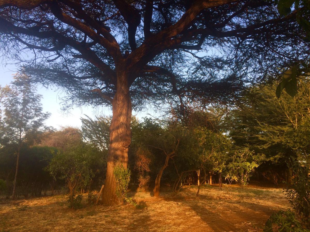 Amboseli Eco Camp Villa Exterior foto